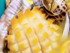 鲍螺鸡煲-金龙·打边炉(武进路店)