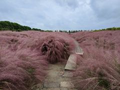 -嘉北郊野公园