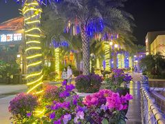 -三亚海昌梦幻海洋不夜城