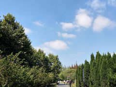 -上海浦江郊野公园-2号停车场