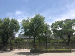 -文瀛公园