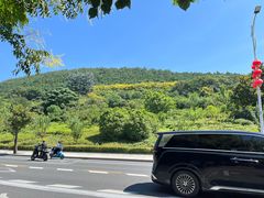 -云龙山