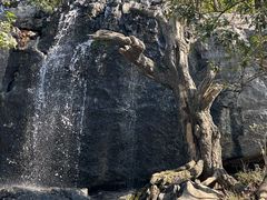 -千岛湖东南湖区