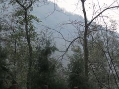 -李冰陵园