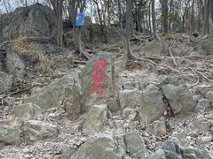 -紫金山山顶公园