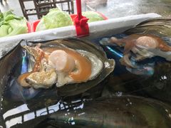 -蚝专家(北滘店)