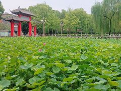 -四川大学(望江校区)