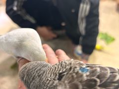 -嘉兴海底世界