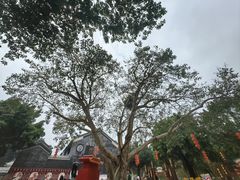 -悦城龙母祖庙