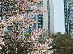 -成都市活水公园