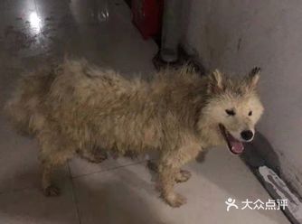 身边的美好与你环环相扣