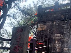 -缙云山景区
