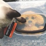 孩子会很喜欢的泰迪肉松饭团
