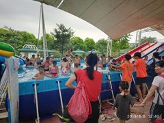 -百万葵园