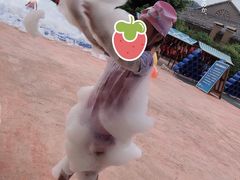 -福州欧乐堡水上乐园