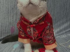 -派悦坊·甜品·蛋糕(日坛店)