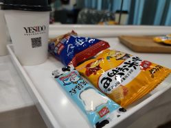 -YESIDO椰岛造型