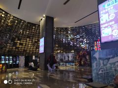 -武商摩尔影城(国广IMAX激光店)