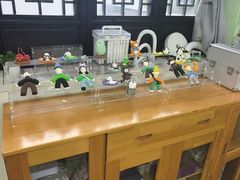 -学知乐教育·幼小衔接·小学科辅导(嘉定镇校区)