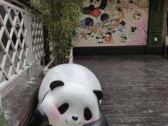 -轩客会(熊猫书店)