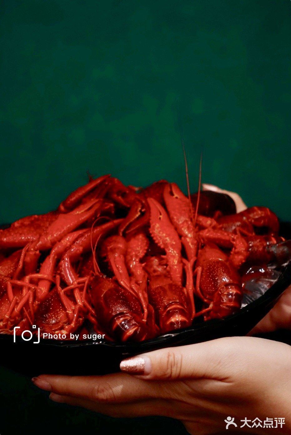 舌尖上的中国——魔都中原菜探店报告