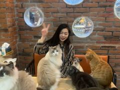 -豆逗聊愈猫阁Easy Life