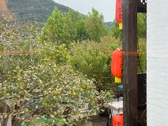 -慢丽江·云南野生菌土鸡锅(西山店)