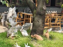 -福照楼汽锅鸡·云南菜(护国路店)