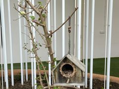 -前小桔亲子创意农场·草莓采摘·露营烧烤