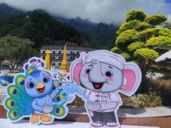 -秦岭天竺山生态文化旅游景区