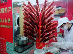 -和禄德冰糖葫芦