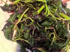 -阿斯牛牛·凉山菜(新会展店)