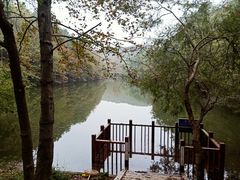 -青龙山国家森林公园