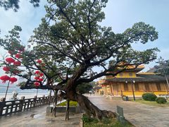 -江心屿景区