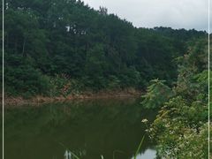 -青龙山国家森林公园