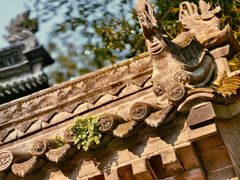 -罔极寺