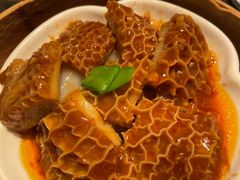 -点都德·毕德寮