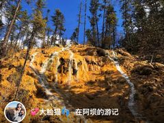 -隆氏兔头(七道堰店)