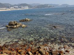 -大梅沙海滨公园