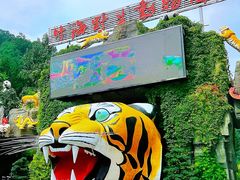 -栾川竹海野生动物园
