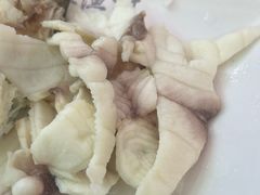 -源港渔村-中山脆肉鲩(博罗店)