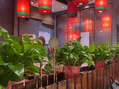 -陈府大宅门成都火锅·手切鲜肉(太原街店)