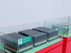 -上海大汉灵芝保健品有限公司