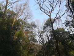 -岳麓山风景名胜区