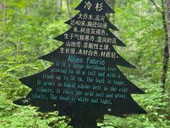 -五营国家森林公园