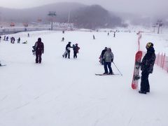 -中旅松花湖滑雪场