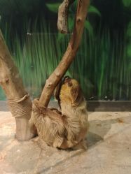 -未来动物城动物主题公园(大悦城店)