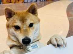 -拌粉君·锅气炒粉(前海科兴店)