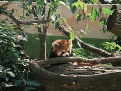 -杭州少年儿童公园