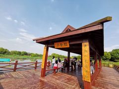 -荷塘月色湿地公园·向阳花洲